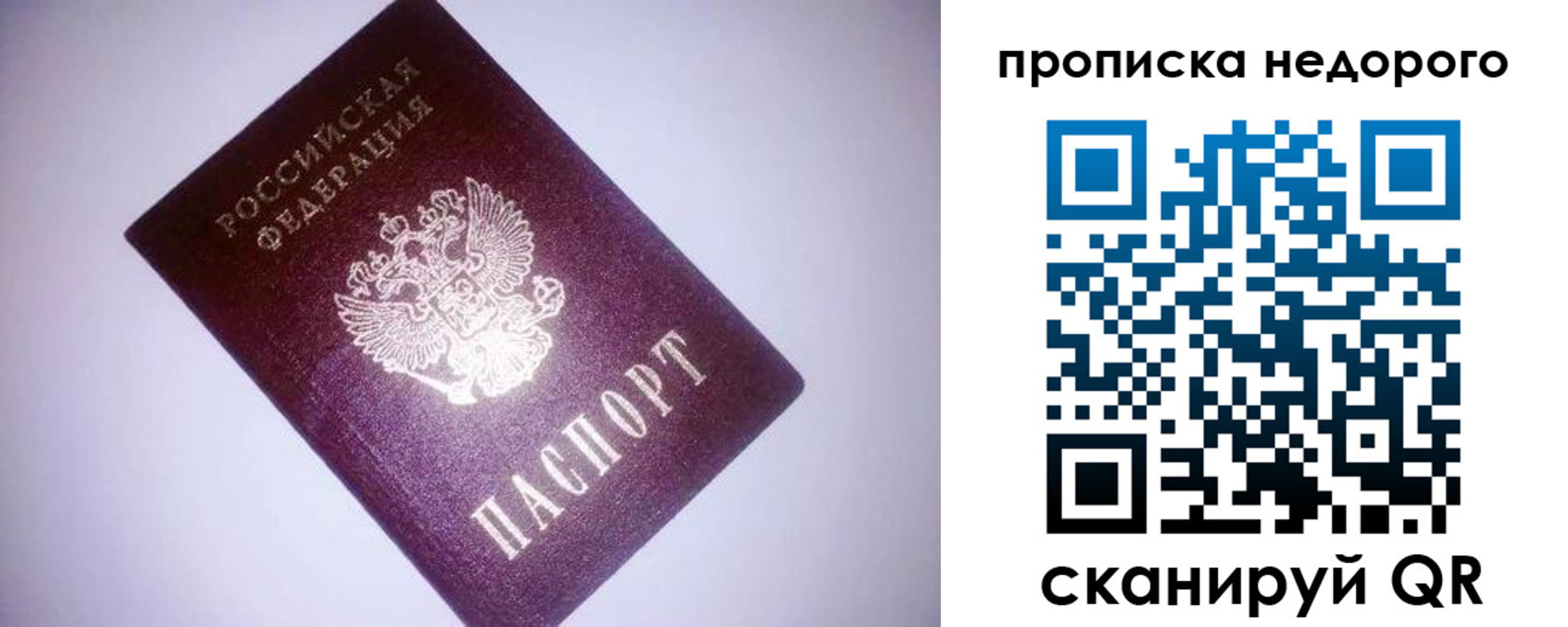 прописка для школы в Вольске